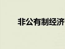非公有制经济包括（非公有制经济）