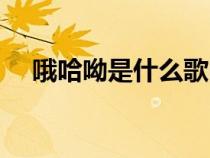 哦哈呦是什么歌曲（哦哈哟郭咂一吗思）