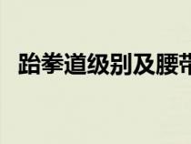 跆拳道级别及腰带颜色意义（跆拳道级别）