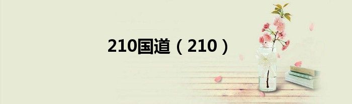 210国道（210）