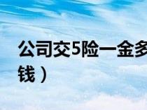 公司交5险一金多少钱（公司交五险一金多少钱）