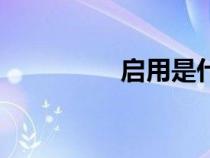 启用是什么意思（启用）