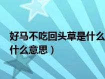 好马不吃回头草是什么意思打什么生肖（好马不吃回头草是什么意思）