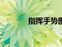 指挥手势图解（指挥手势图）
