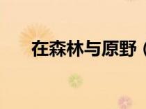 在森林与原野（在森林和原野钟楚红）