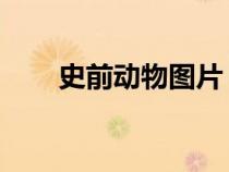 史前动物图片 凶猛（史前动物图片）