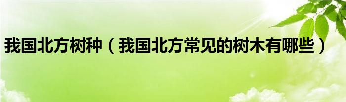 我国北方树种（我国北方常见的树木有哪些）