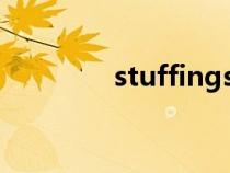 stuffings翻译（stuffing）