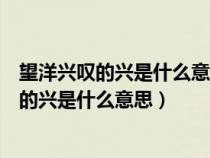 望洋兴叹的兴是什么意思根据意思兴应该做什么（望洋兴叹的兴是什么意思）