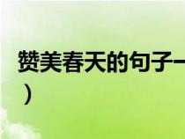 赞美春天的句子一年级简短（赞美春天的句子）