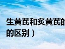 生黄芪和炙黄芪的区别图片（生黄芪和炙黄芪的区别）