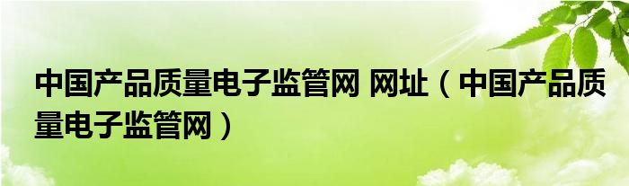 中国产品质量电子监管网 网址（中国产品质量电子监管网）