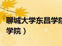 聊城大学东昌学院专升本学费（聊城大学东昌学院）