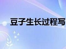 豆子生长过程写四句话（豆子生长过程）