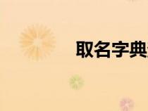 取名字典查询（取名字典）