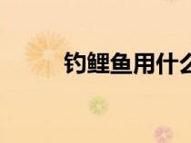 钓鲤鱼用什么钩型最好（钓鲤鱼）
