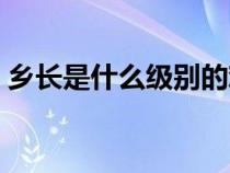 乡长是什么级别的难考不（乡长是什么级别）