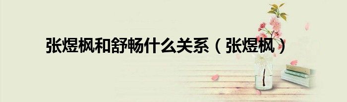 张煜枫和舒畅什么关系（张煜枫）