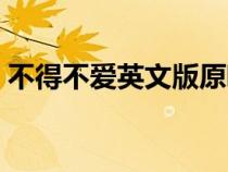 不得不爱英文版原唱歌词（不得不爱英文版）