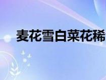 麦花雪白菜花稀全诗（麦花雪白菜花稀）