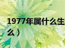 1977年属什么生肖今年多大了（1977年属什么）