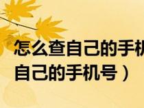 怎么查自己的手机号绑定了几个微信（怎么查自己的手机号）