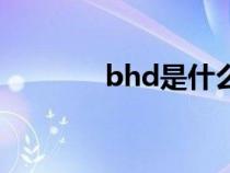 bhd是什么病的简称（bhd）