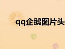 qq企鹅图片头像大全（qq企鹅图片）