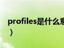 profiles是什么意思（profiles是什么文件夹）