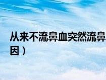 从来不流鼻血突然流鼻血是什么原因（突然流鼻血是什么原因）