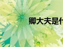 卿大夫是什么意思（卿大夫）