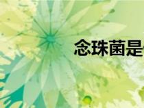 念珠菌是什么病（念珠菌）