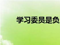 学习委员是负责什么的（学习委员）