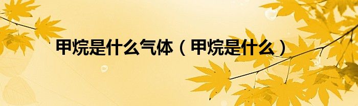 甲烷是什么气体（甲烷是什么）