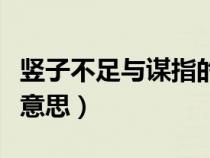 竖子不足与谋指的是谁（竖子不足与谋是什么意思）