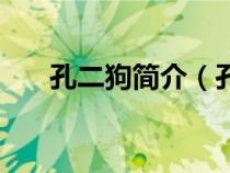 孔二狗简介（孔二狗写的赵红兵是谁）