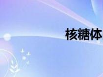 核糖体的结构（核糖）