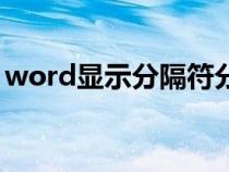 word显示分隔符分页符（word显示分隔符）
