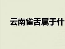 云南雀舌属于什么茶（雀舌属于什么茶）