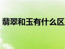 翡翠和玉有什么区别（玛瑙和玉有什么区别）