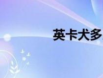 英卡犬多少钱一只（英卡）