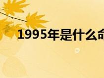 1995年是什么命格（1995年是什么命）