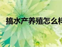 搞水产养殖怎么样（水产养殖什么最赚钱）
