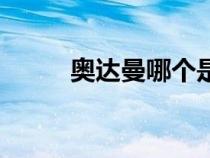 奥达曼哪个是后门（奥达曼在哪）