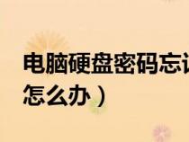 电脑硬盘密码忘记了怎么解除（u盘忘记密码怎么办）