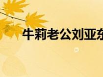 牛莉老公刘亚东个人简介（牛莉老公）