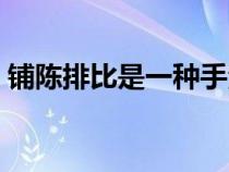 铺陈排比是一种手法吗（铺陈和排比的区别）