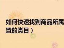 如何快速找到商品所属类目（找出商品属性与发布商品所放置的类目）