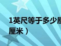 1英尺等于多少厘米啊图片（1英尺等于多少厘米）