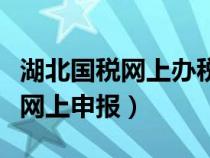 湖北国税网上办税安全应用客户端（湖北国税网上申报）